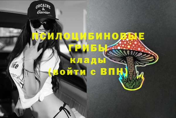 ешки Арсеньев